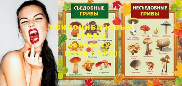 прущая мука Аркадак