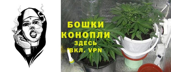 МДПВ Няндома